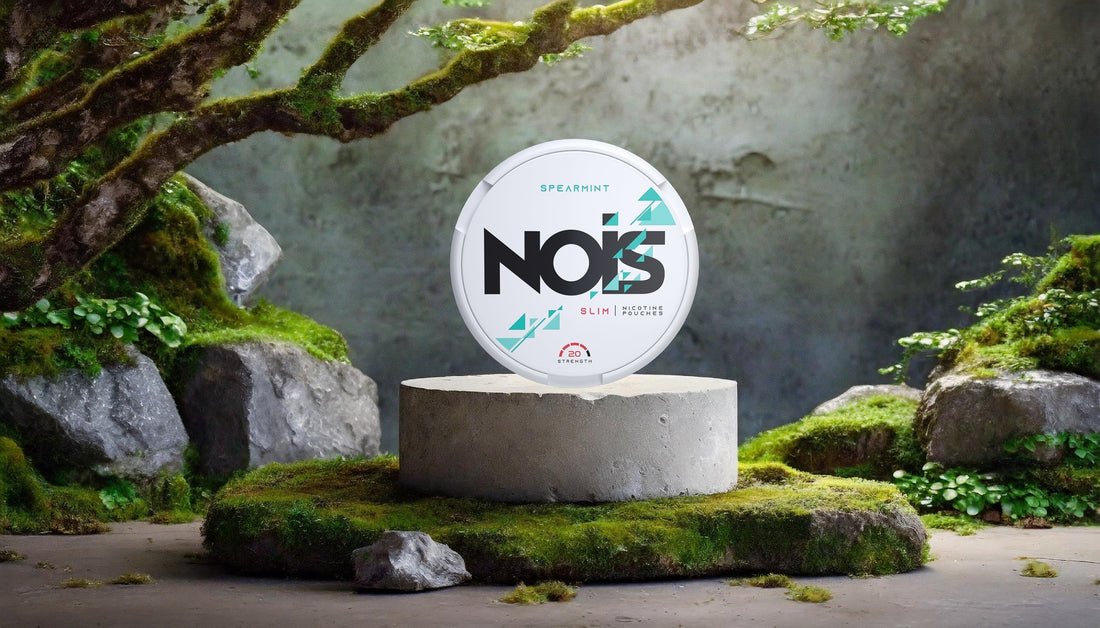 NOIS in Denmark: The New Generation of Nicotine Pouches